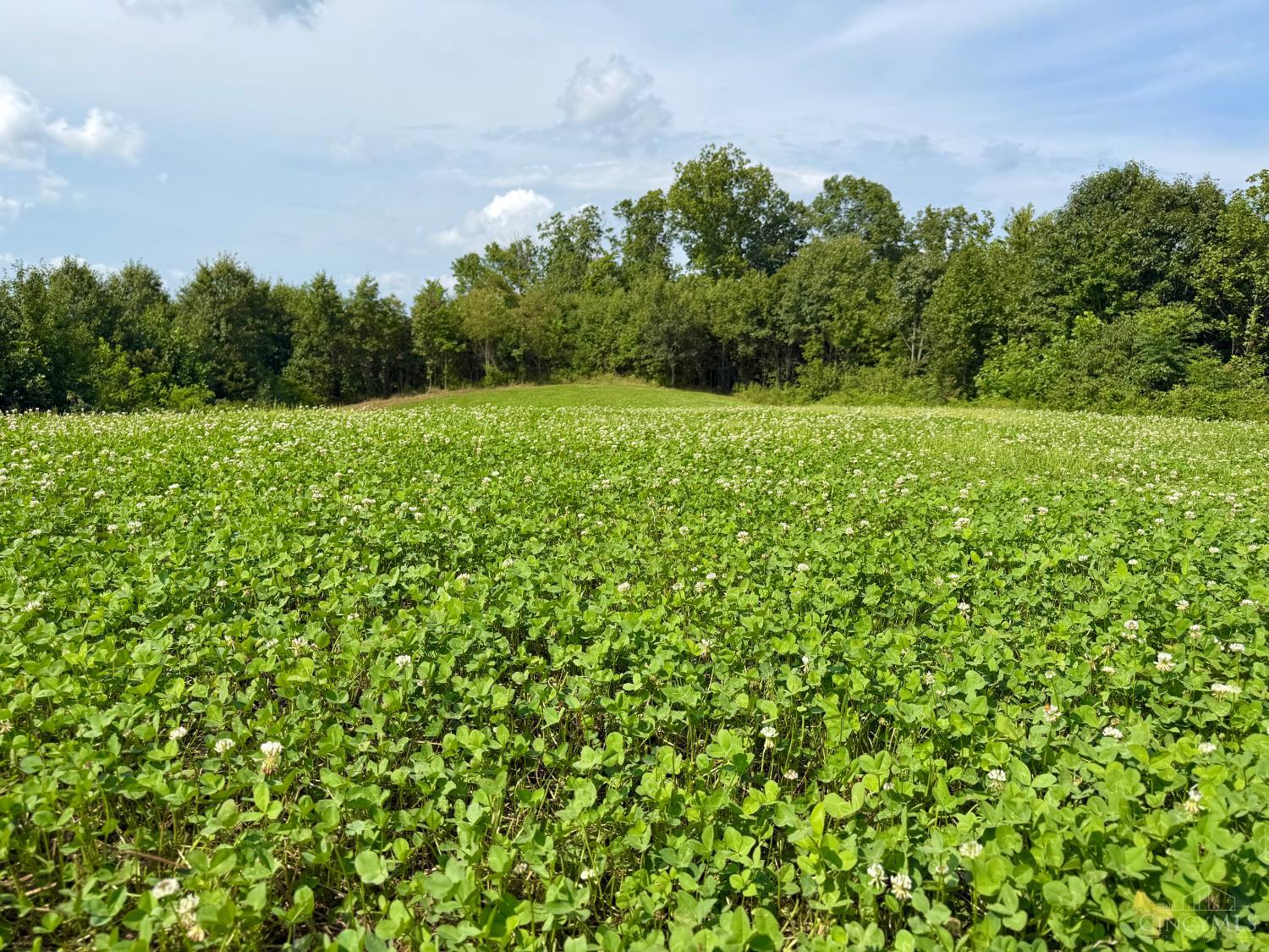 Lick Run Lyra Road, Bloom Twp, OH, 45682 — photo 10