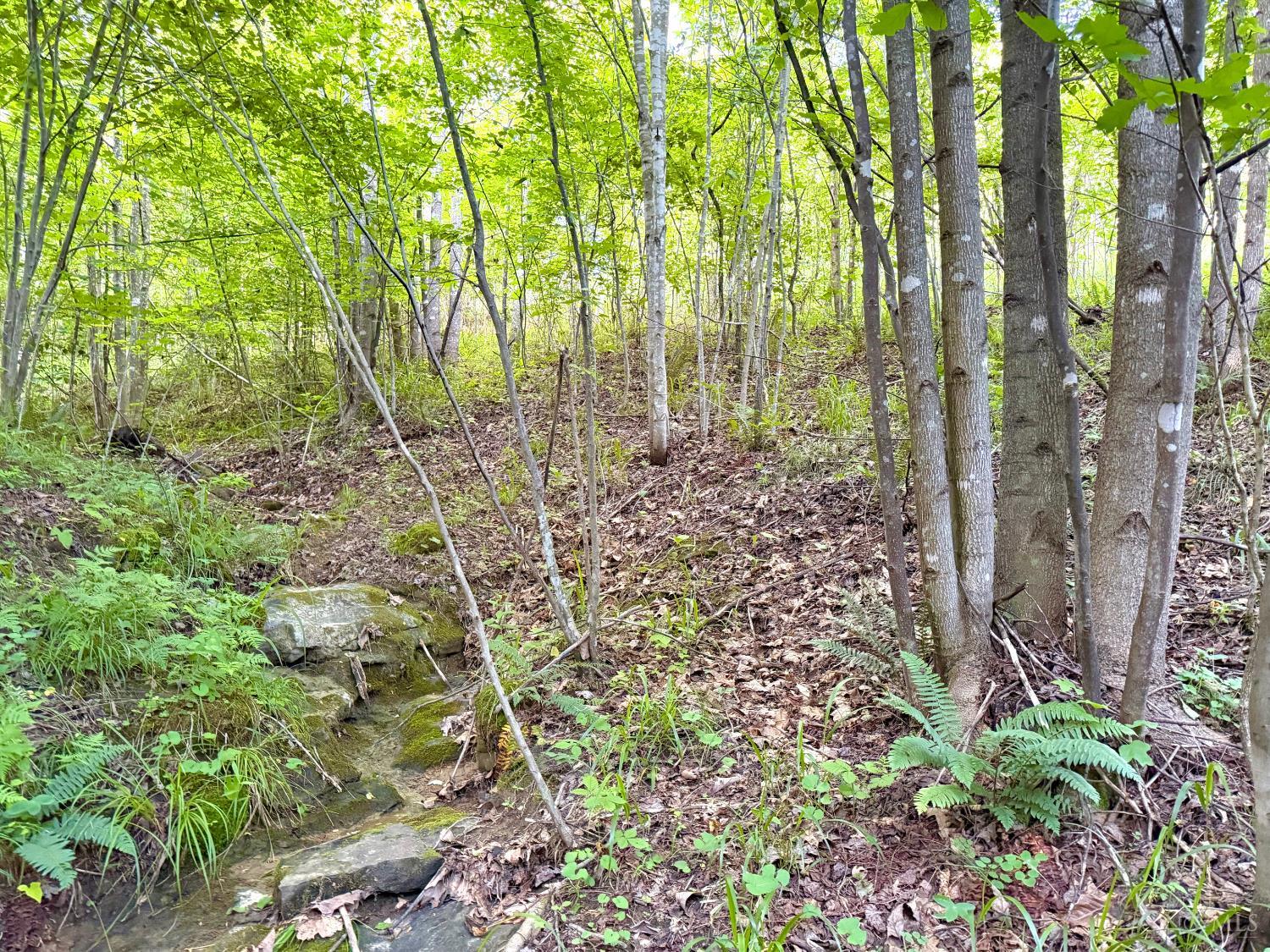 Lick Run Lyra Road, Bloom Twp, OH, 45682 — photo 8