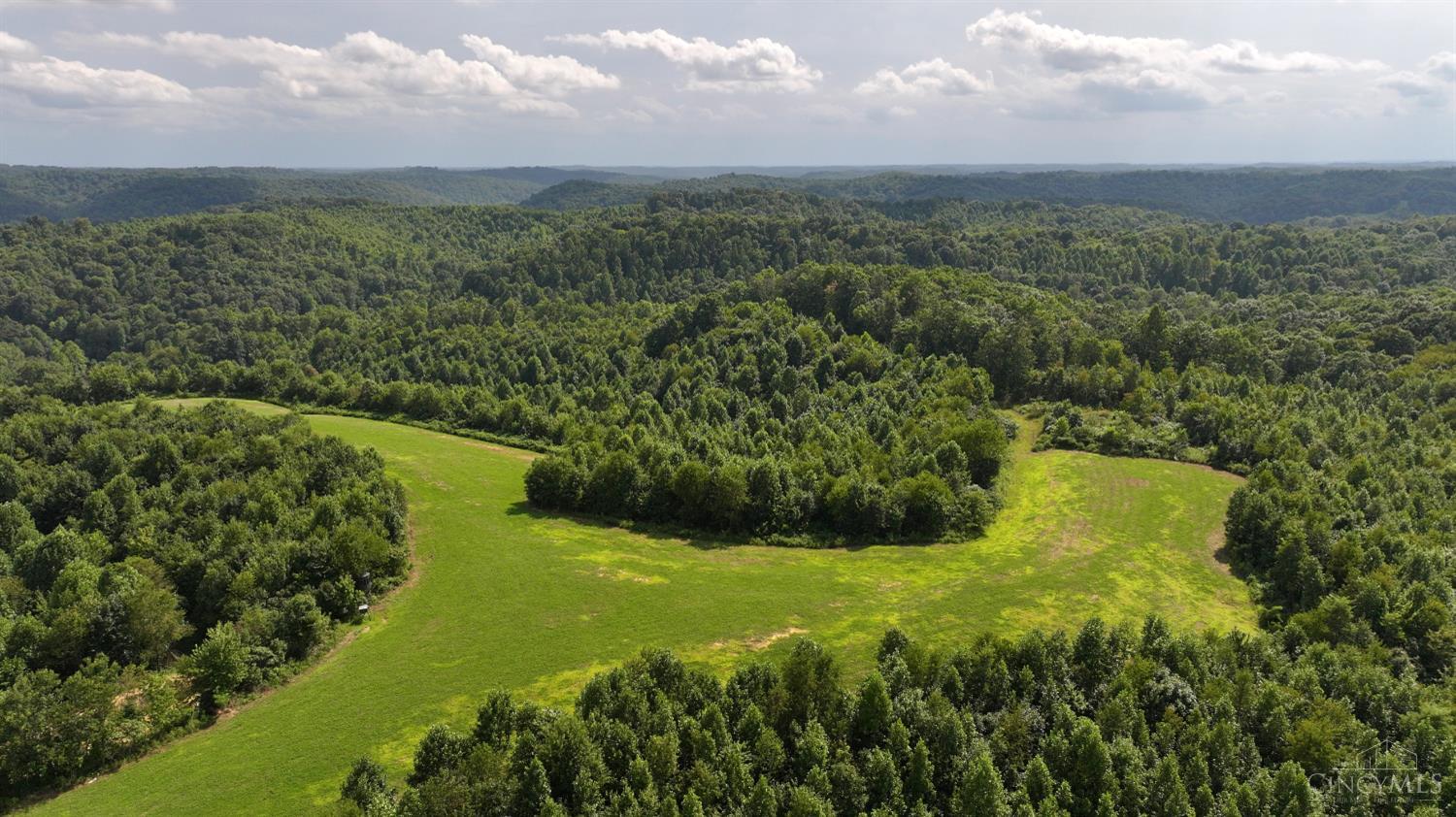 Lick Run Lyra Road, Bloom Twp, OH, 45682 — photo 13