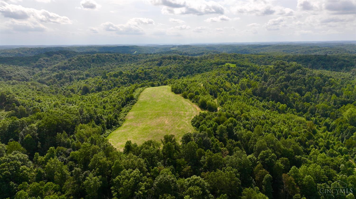 Lick Run Lyra Road, Bloom Twp, OH, 45682 — photo 52