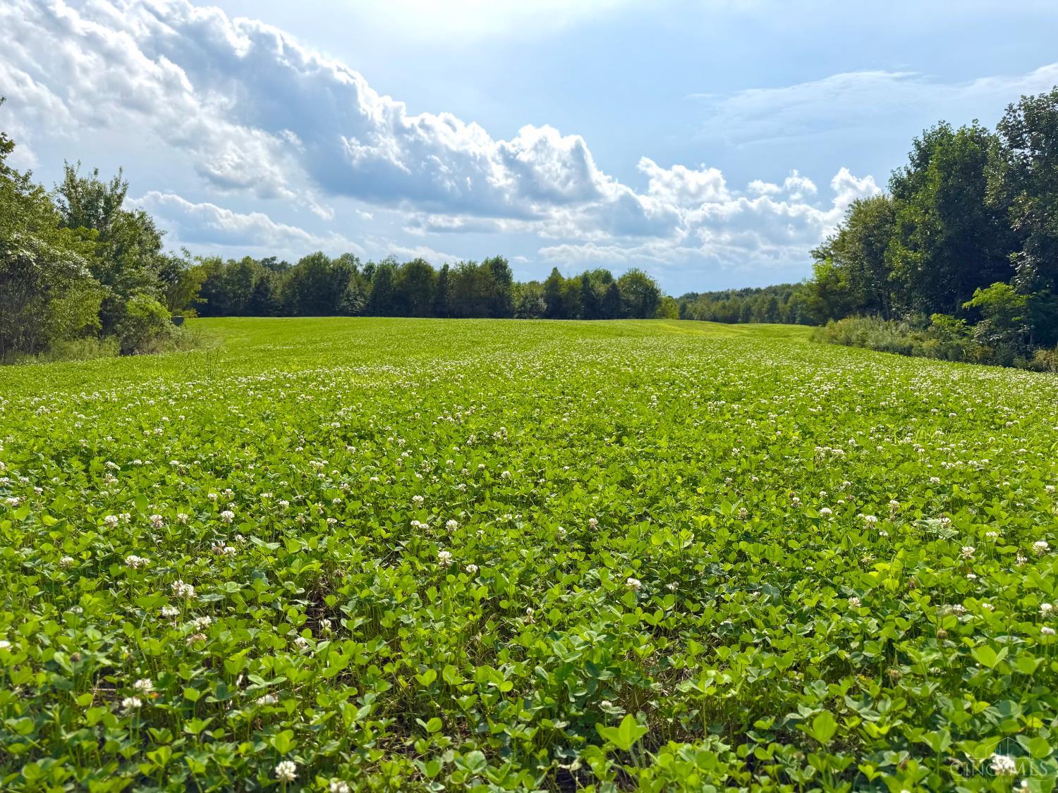 Lick Run Lyra Road, Bloom Twp, OH, 45682 — photo 57