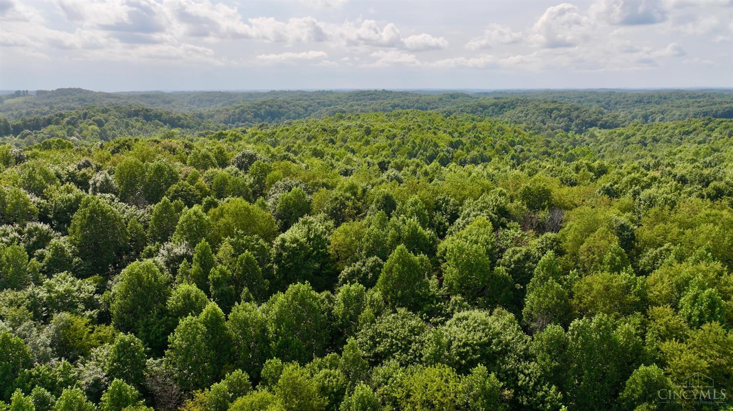 Lick Run Lyra Road, Bloom Twp, OH, 45682 — photo 19
