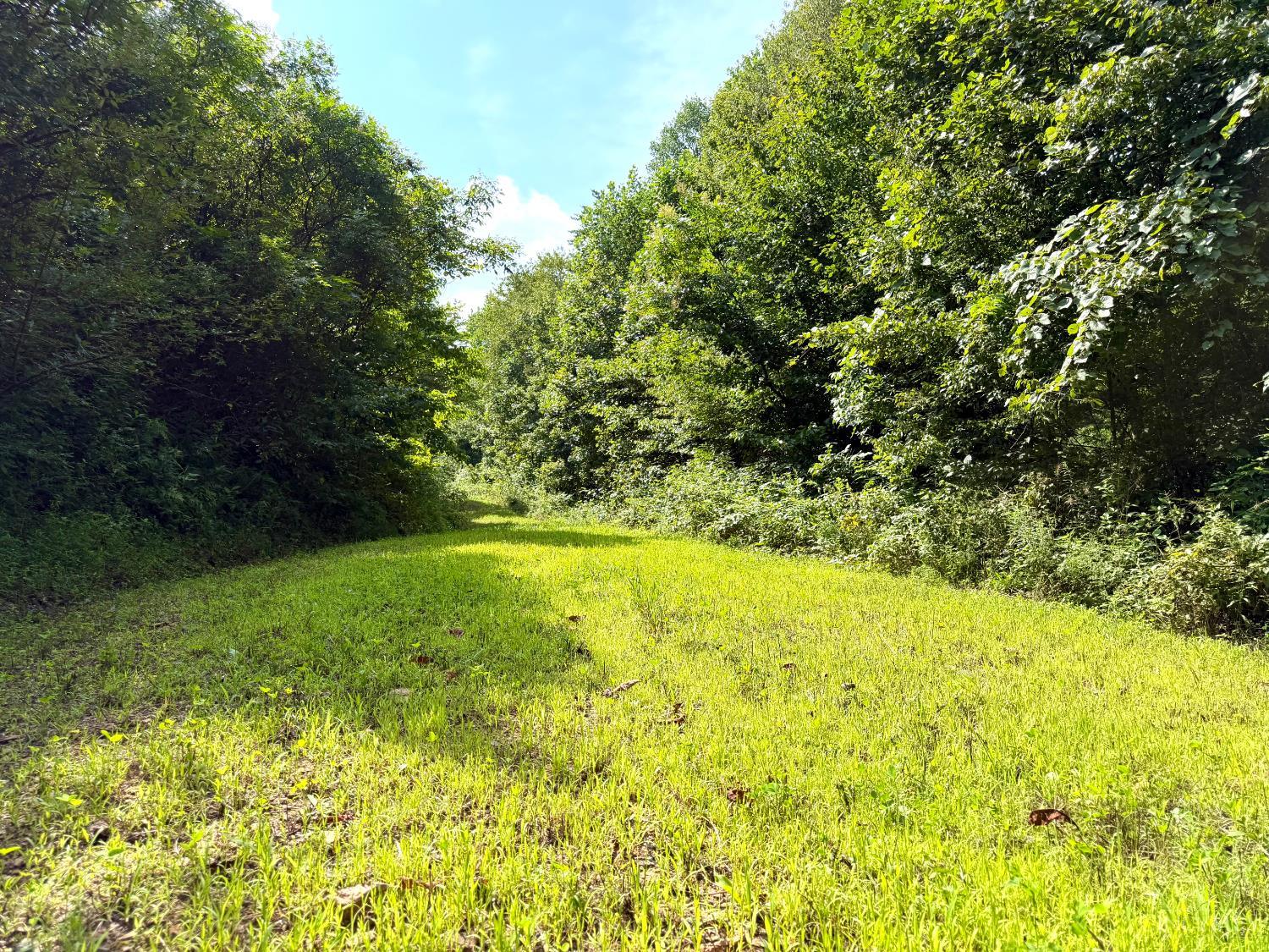 Lick Run Lyra Road, Bloom Twp, OH, 45682 — photo 12