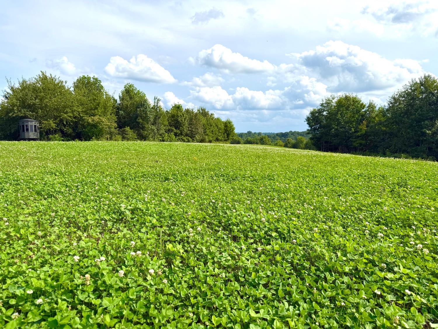 Lick Run Lyra Road, Bloom Twp, OH, 45682 — photo 2