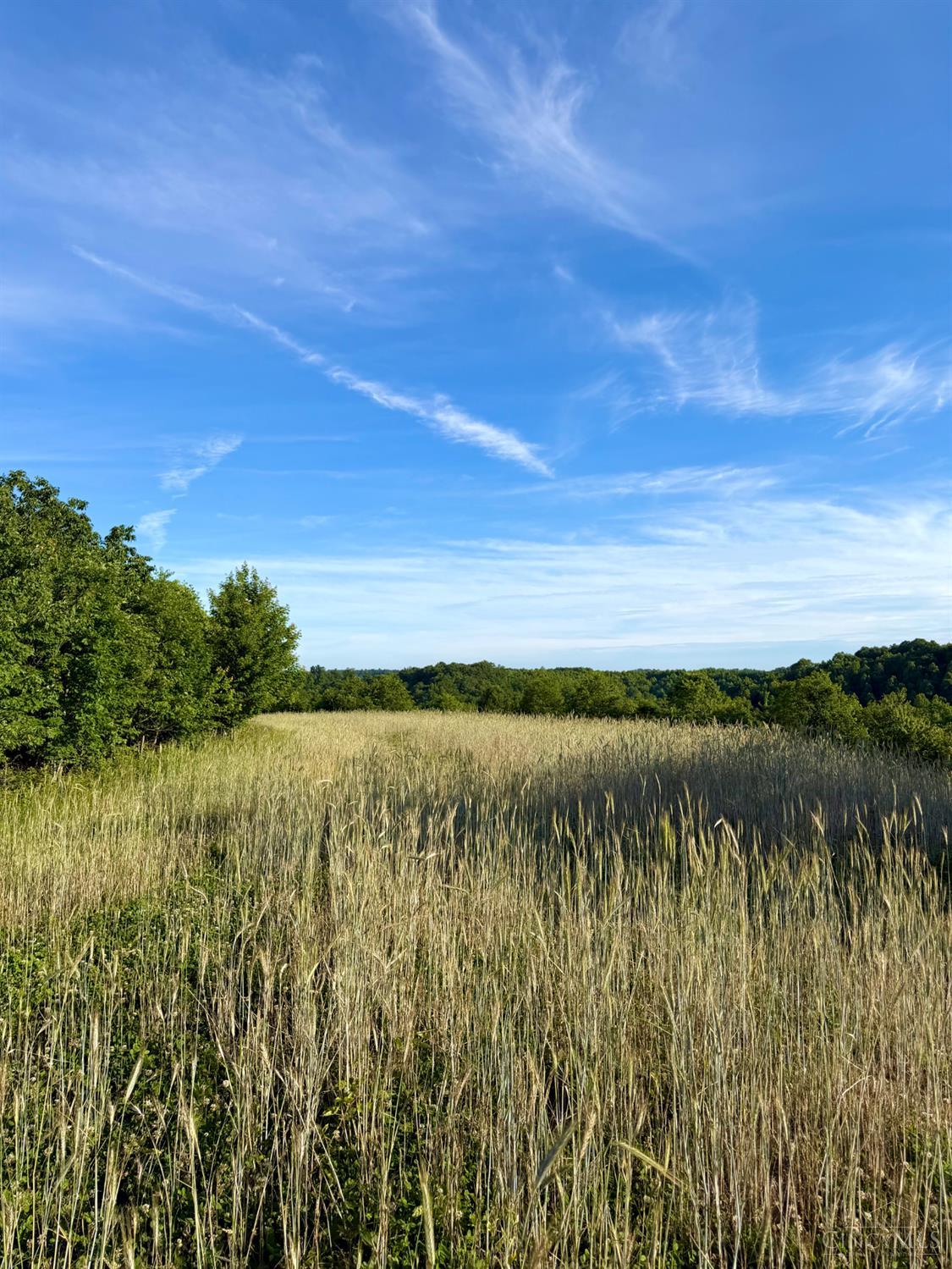 Lick Run Lyra Road, Bloom Twp, OH, 45682 — photo 31