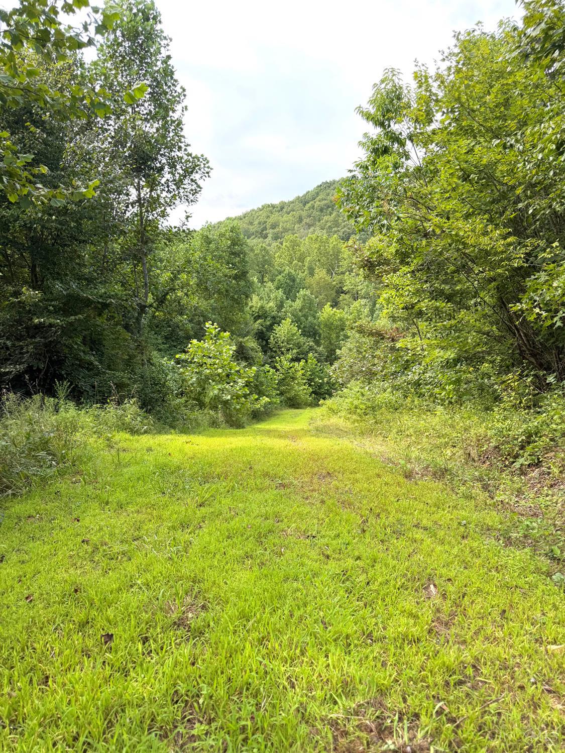 Lick Run Lyra Road, Bloom Twp, OH, 45682 — photo 61