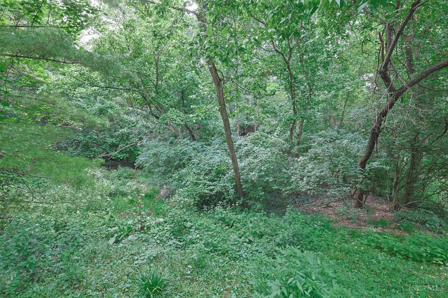 520 Missouri Avenue, Cincinnati, OH, 45226 — photo 21