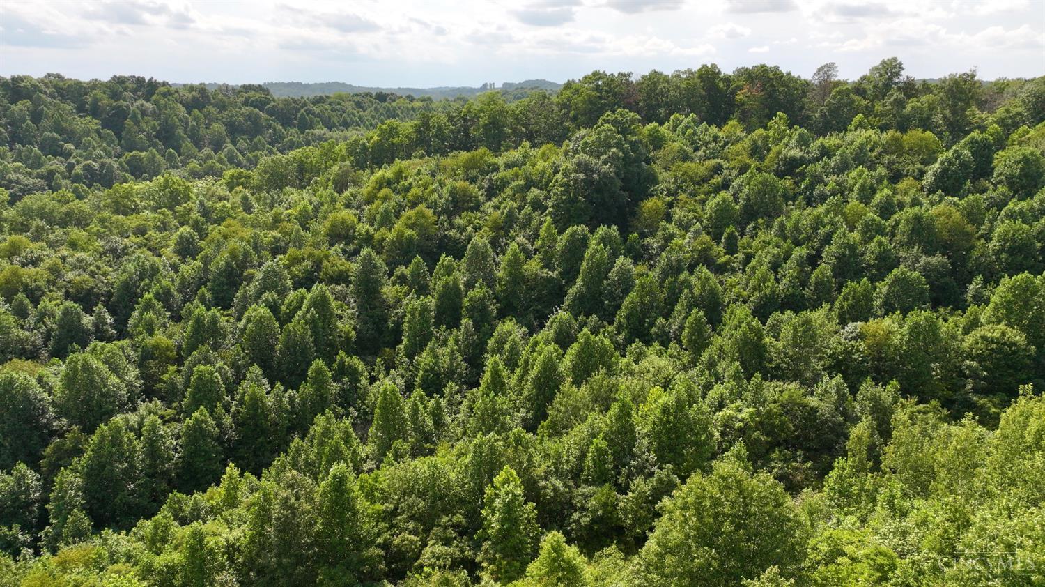 Lick Run Lyra Road, Bloom Twp, OH, 45682 — photo 20