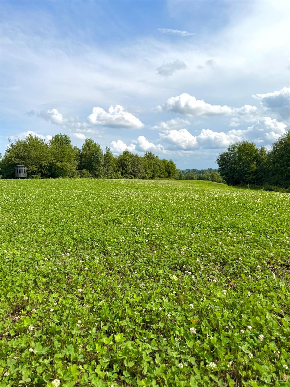 Lick Run Lyra Road, Bloom Twp, OH, 45682 — photo 55