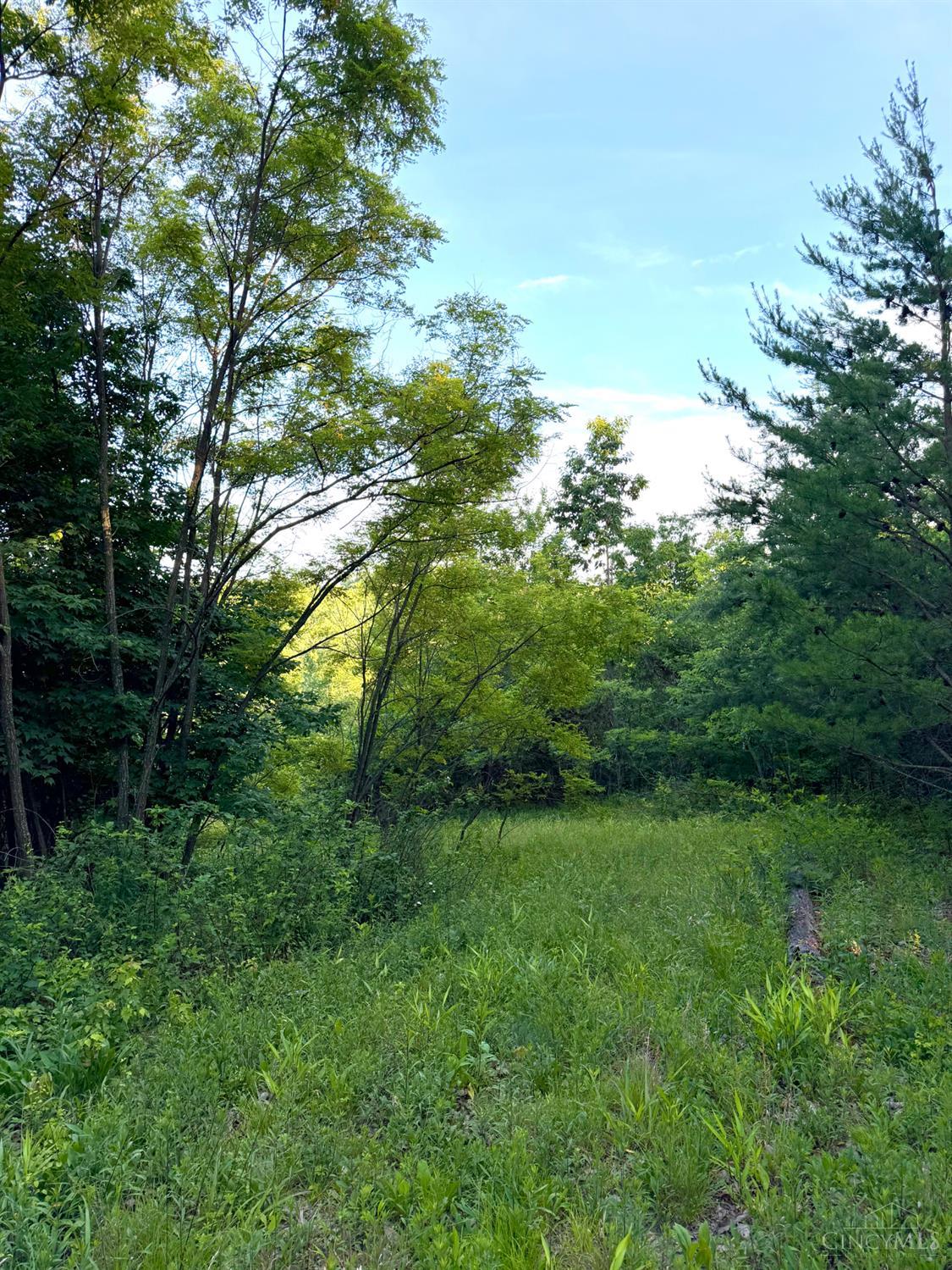 Lick Run Lyra Road, Bloom Twp, OH, 45682 — photo 44