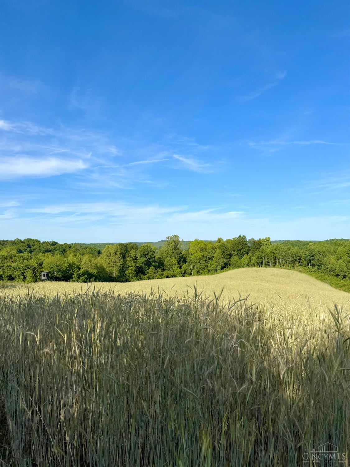 Lick Run Lyra Road, Bloom Twp, OH, 45682 — photo 23