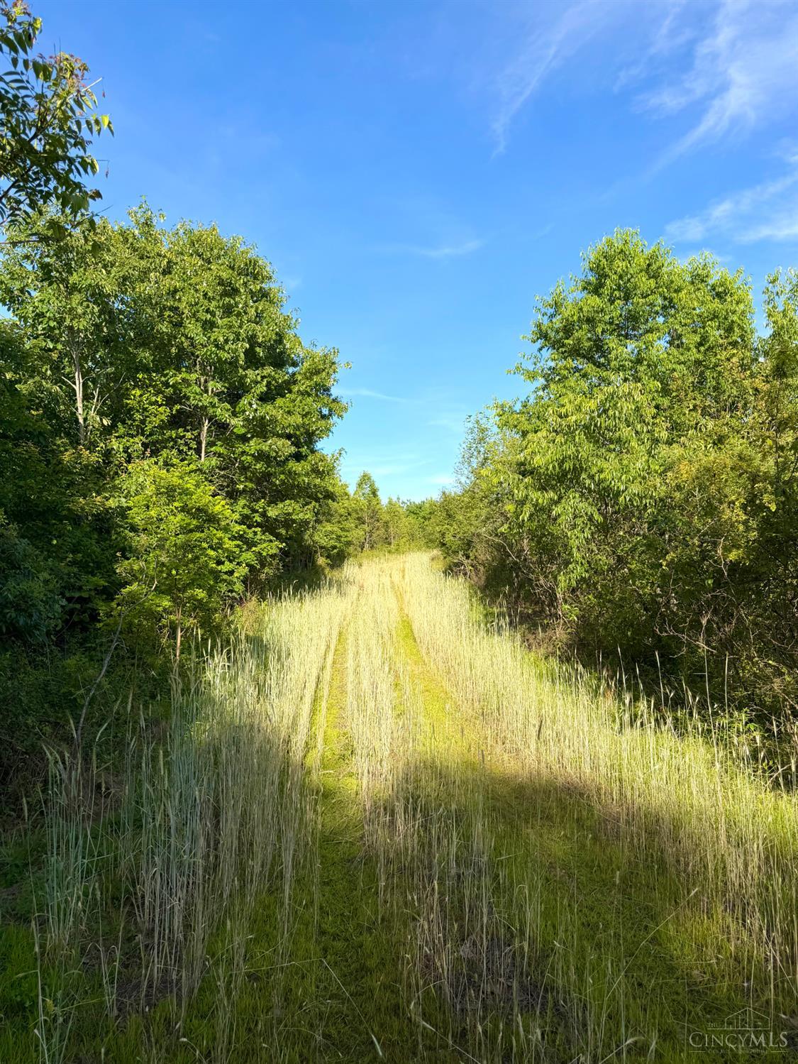 Lick Run Lyra Road, Bloom Twp, OH, 45682 — photo 27