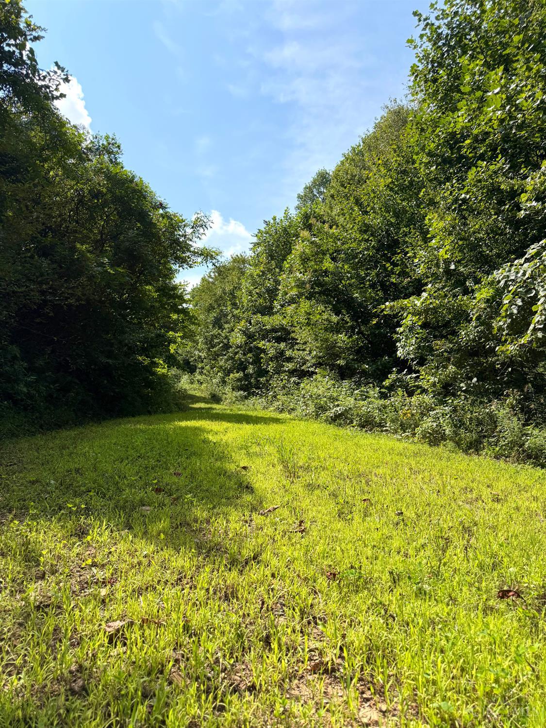 Lick Run Lyra Road, Bloom Twp, OH, 45682 — photo 46