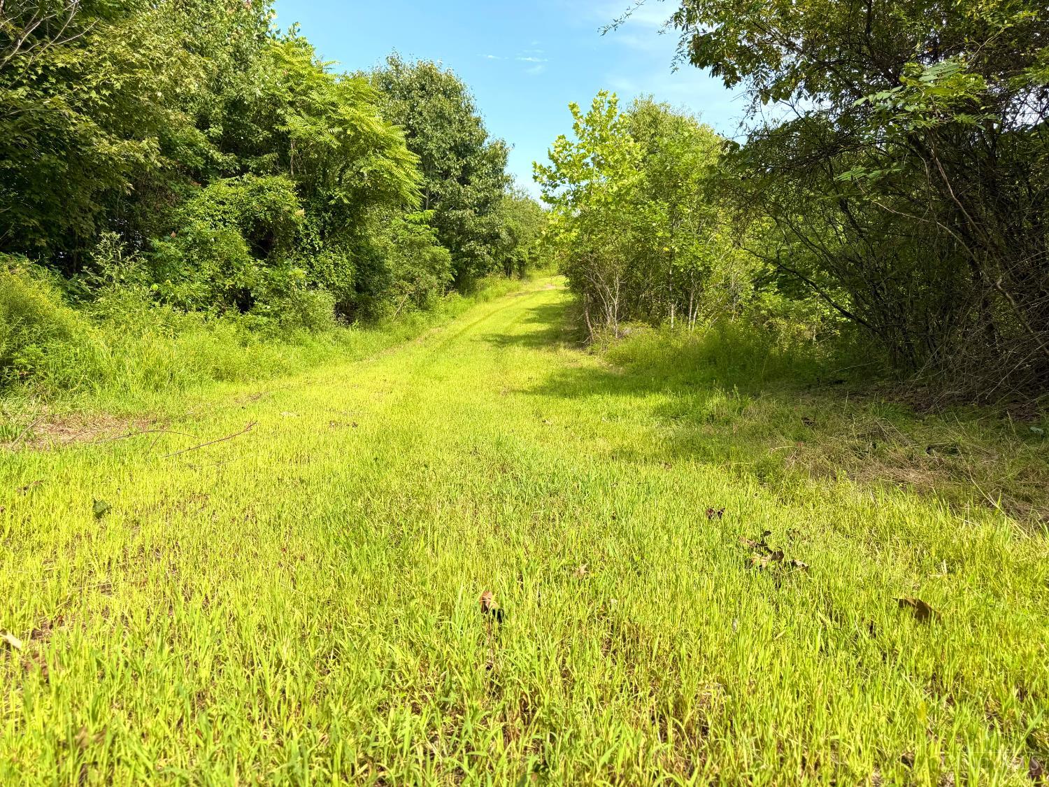 Lick Run Lyra Road, Bloom Twp, OH, 45682 — photo 60