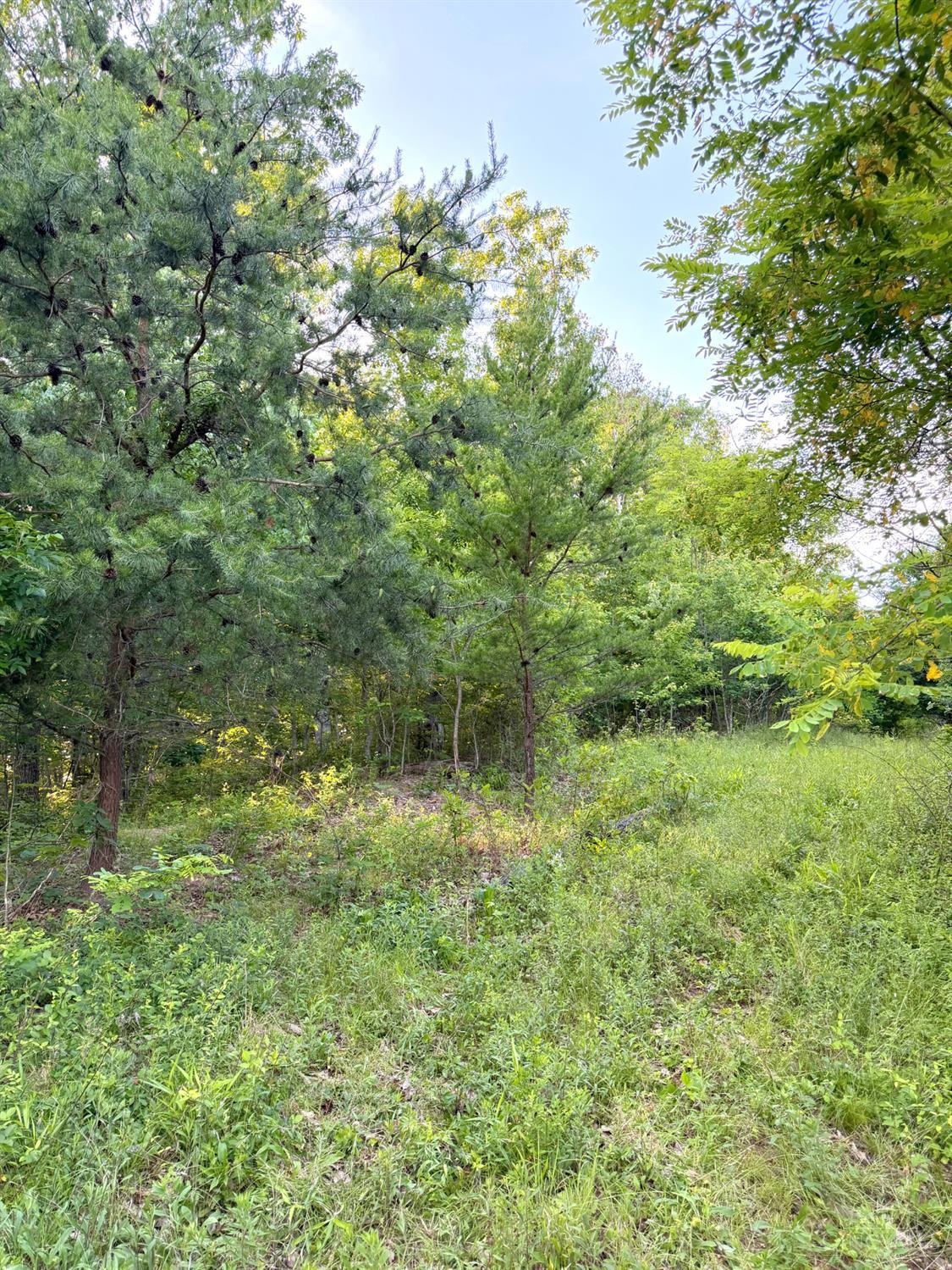 Lick Run Lyra Road, Bloom Twp, OH, 45682 — photo 45