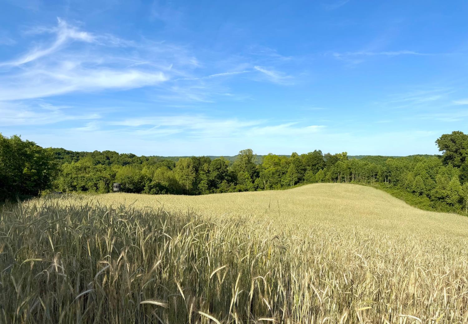 Lick Run Lyra Road, Bloom Twp, OH, 45682 — photo 5