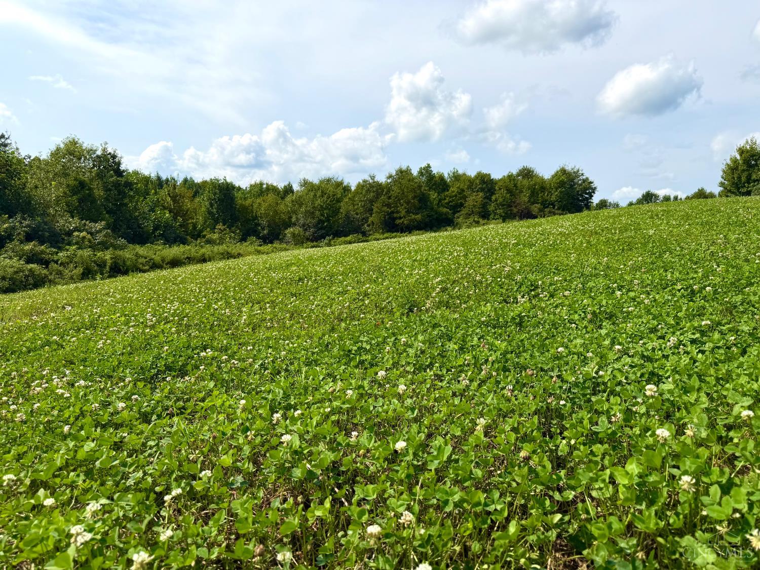 Lick Run Lyra Road, Bloom Twp, OH, 45682 — photo 51