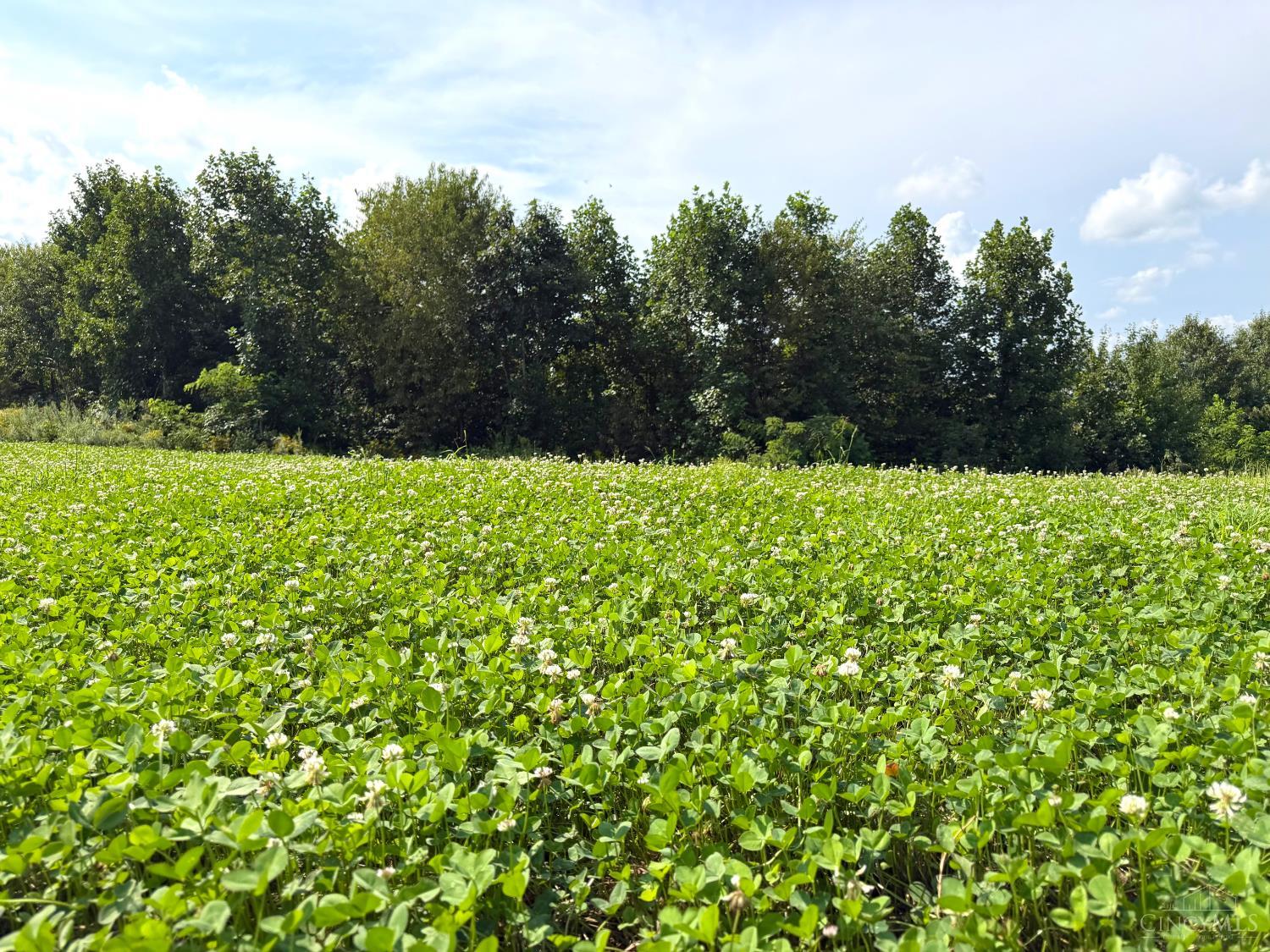 Lick Run Lyra Road, Bloom Twp, OH, 45682 — photo 49