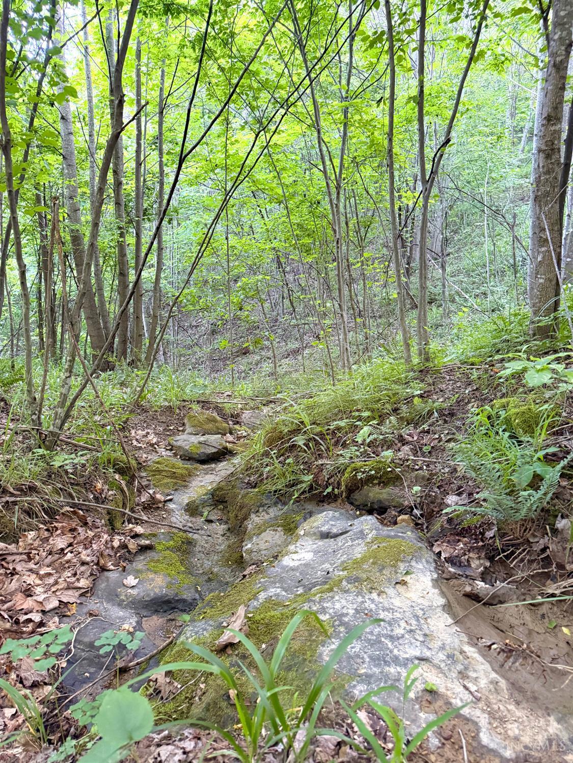 Lick Run Lyra Road, Bloom Twp, OH, 45682 — photo 35