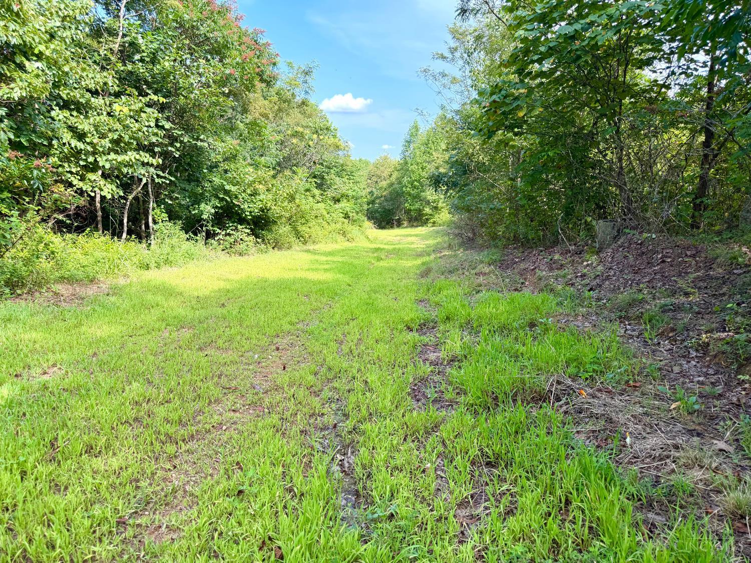 Lick Run Lyra Road, Bloom Twp, OH, 45682 — photo 59
