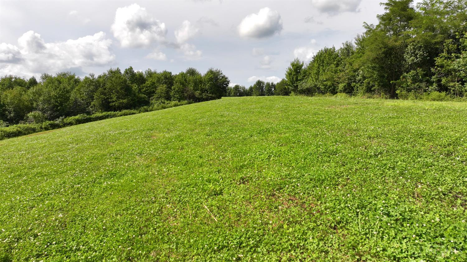 Lick Run Lyra Road, Bloom Twp, OH, 45682 — photo 15