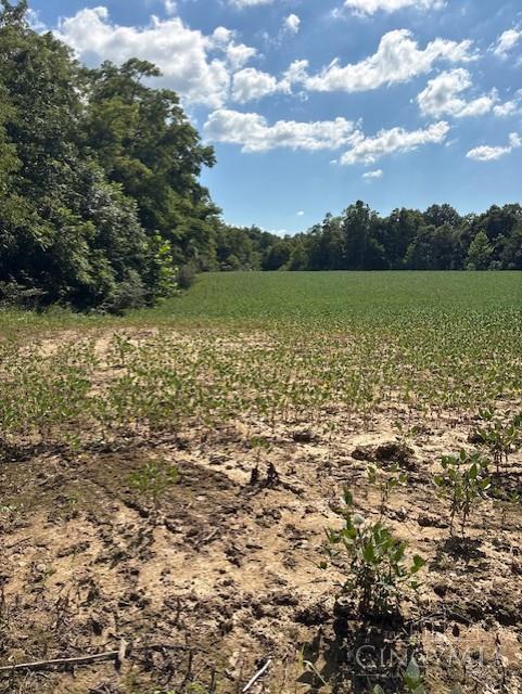 Calvary Road, Seaman, OH, 45679 — photo 2
