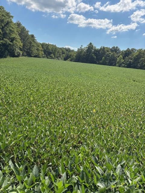 Calvary Road, Seaman, OH, 45679 — photo 3
