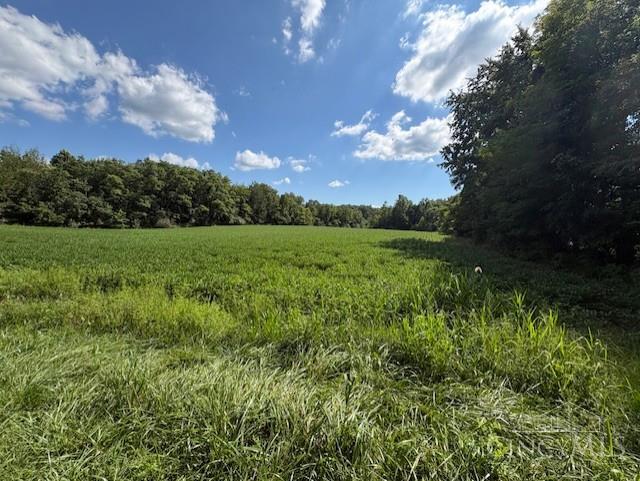 Calvary Road, Seaman, OH, 45679 — photo 5