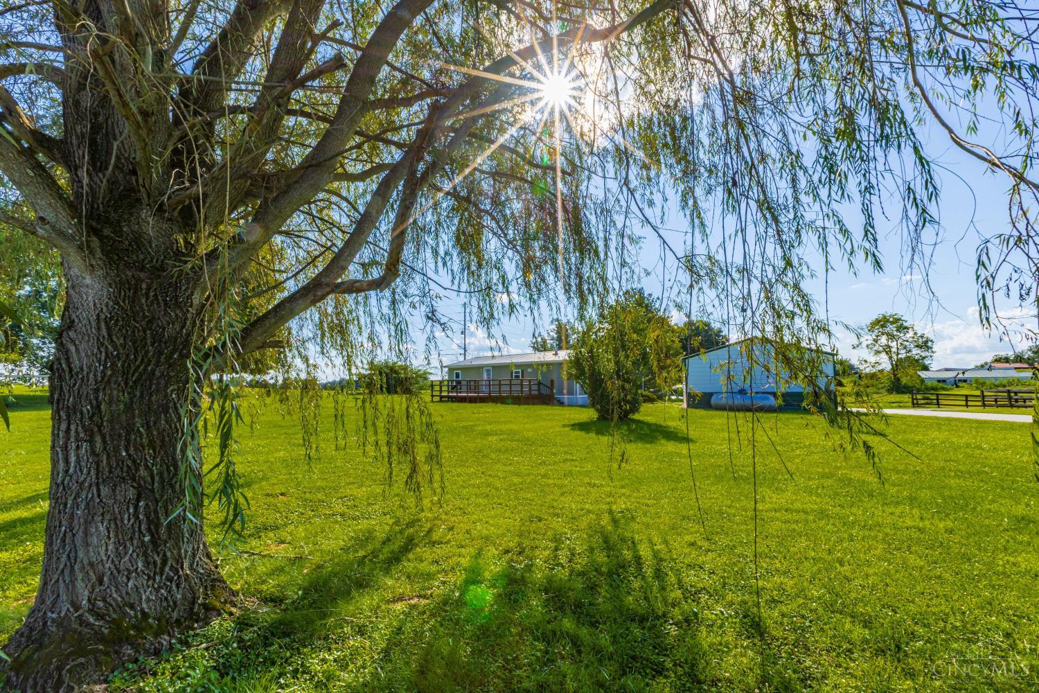4299 White Oak Road, Peebles, OH, 45660 — photo 60
