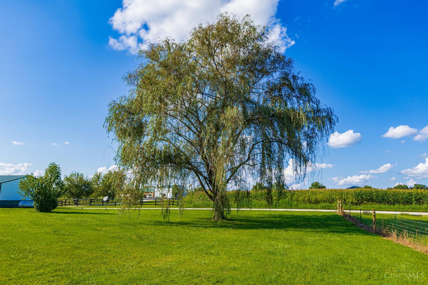 4299 White Oak Road, Peebles, OH, 45660 — photo 54