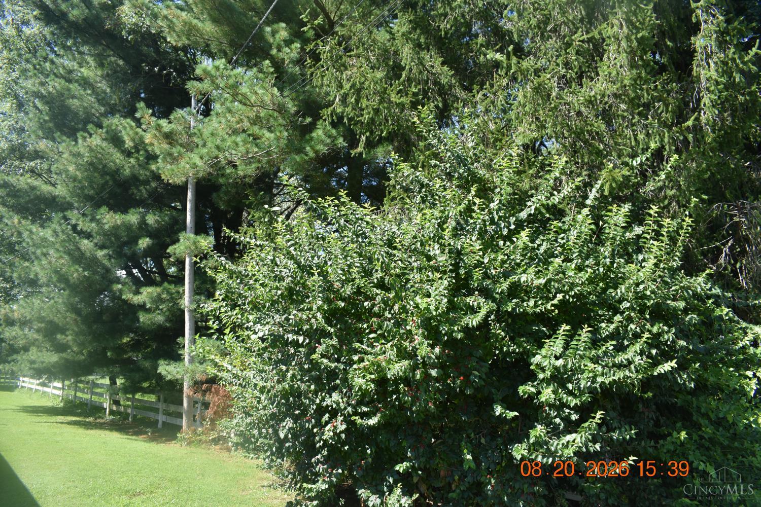 49 Sycamore Street, Winchester, OH, 45697 — photo 11
