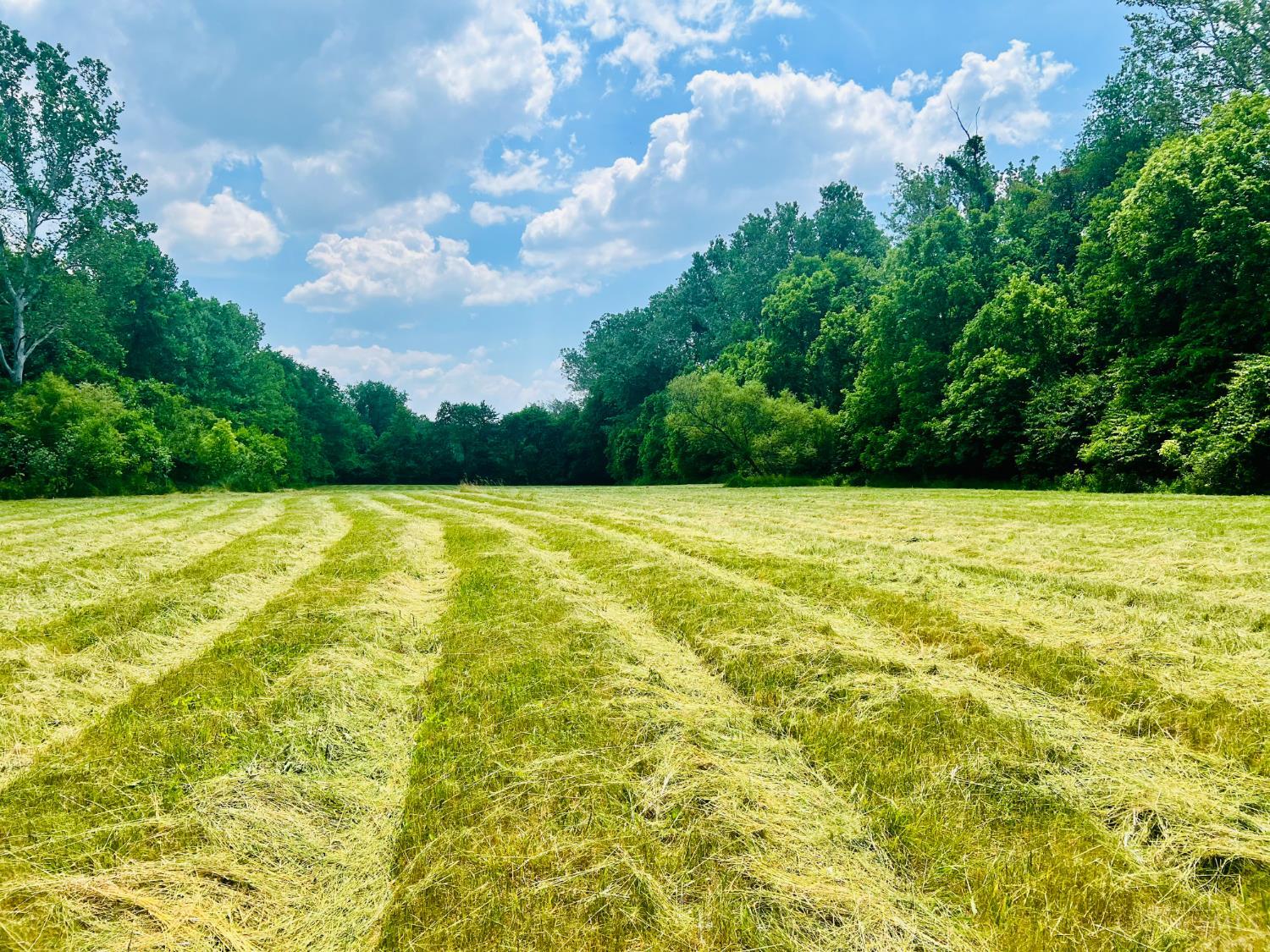 0 Princeton Road, Liberty Twp, OH, 45011