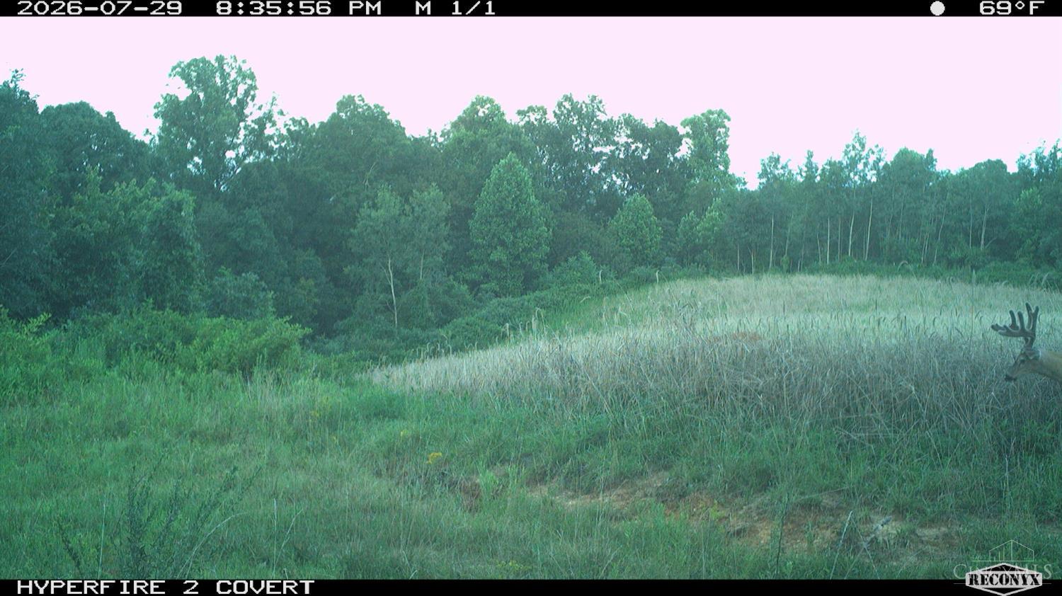 Lick Run Lyra Road, Bloom Twp, OH, 45682 — photo 99