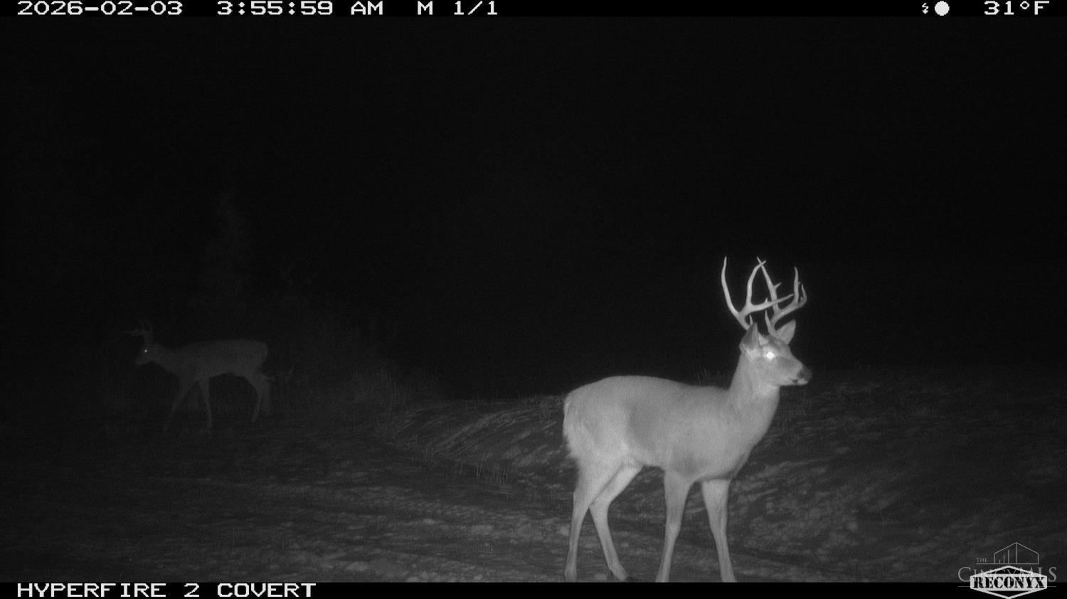 Lick Run Lyra Road, Bloom Twp, OH, 45682 — photo 91