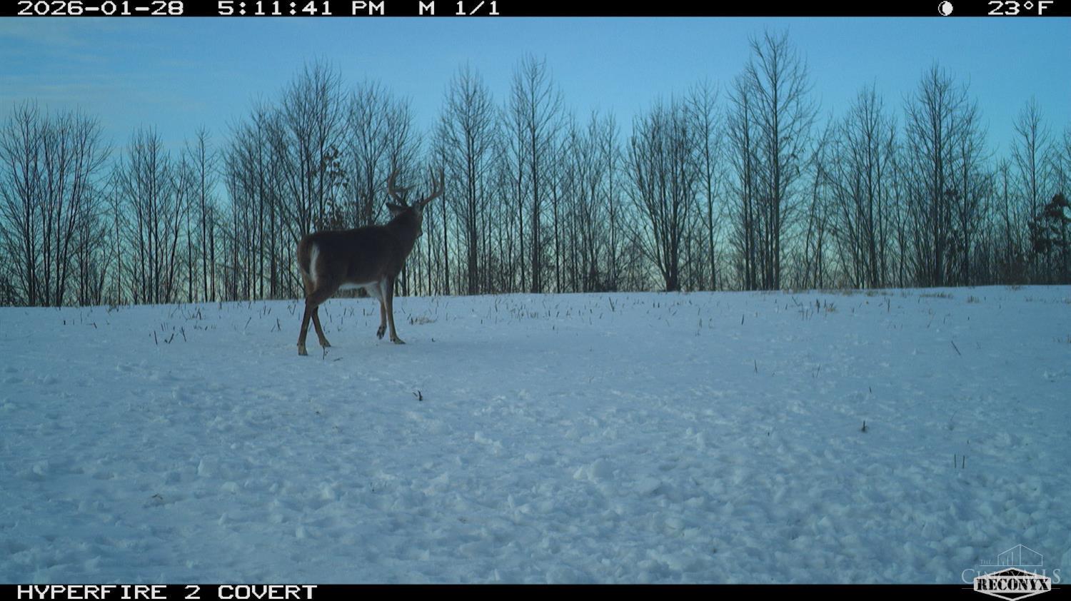 Lick Run Lyra Road, Bloom Twp, OH, 45682 — photo 88