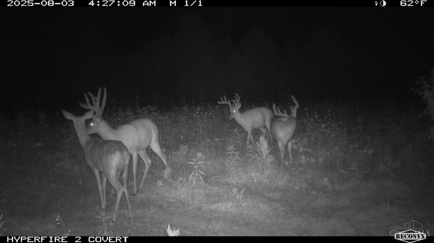 Lick Run Lyra Road, Bloom Twp, OH, 45682 — photo 74