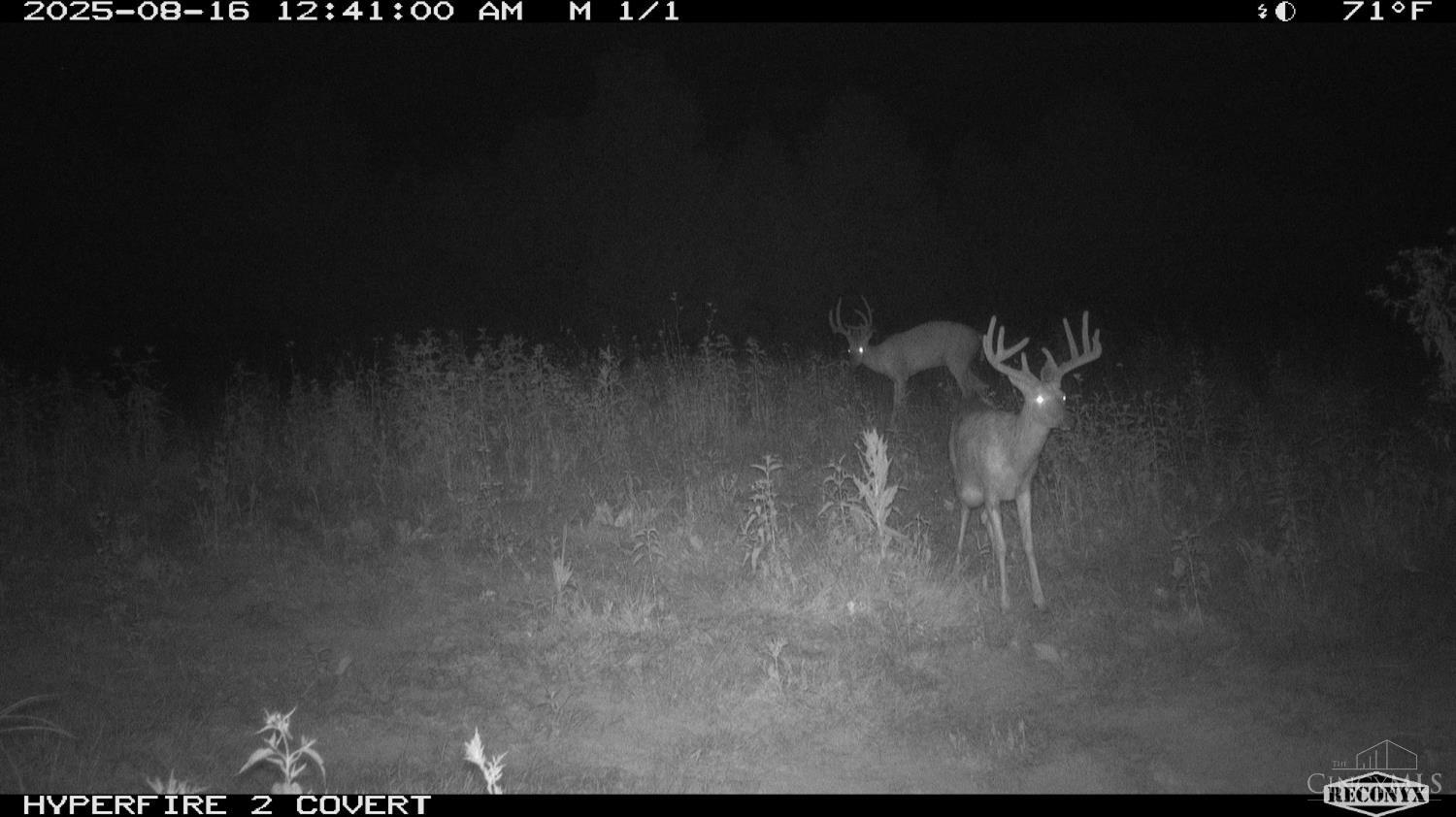 Lick Run Lyra Road, Bloom Twp, OH, 45682 — photo 82