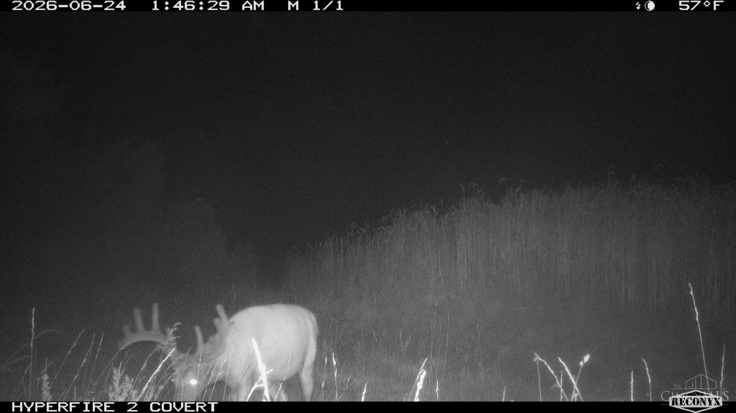 Lick Run Lyra Road, Bloom Twp, OH, 45682 — photo 93