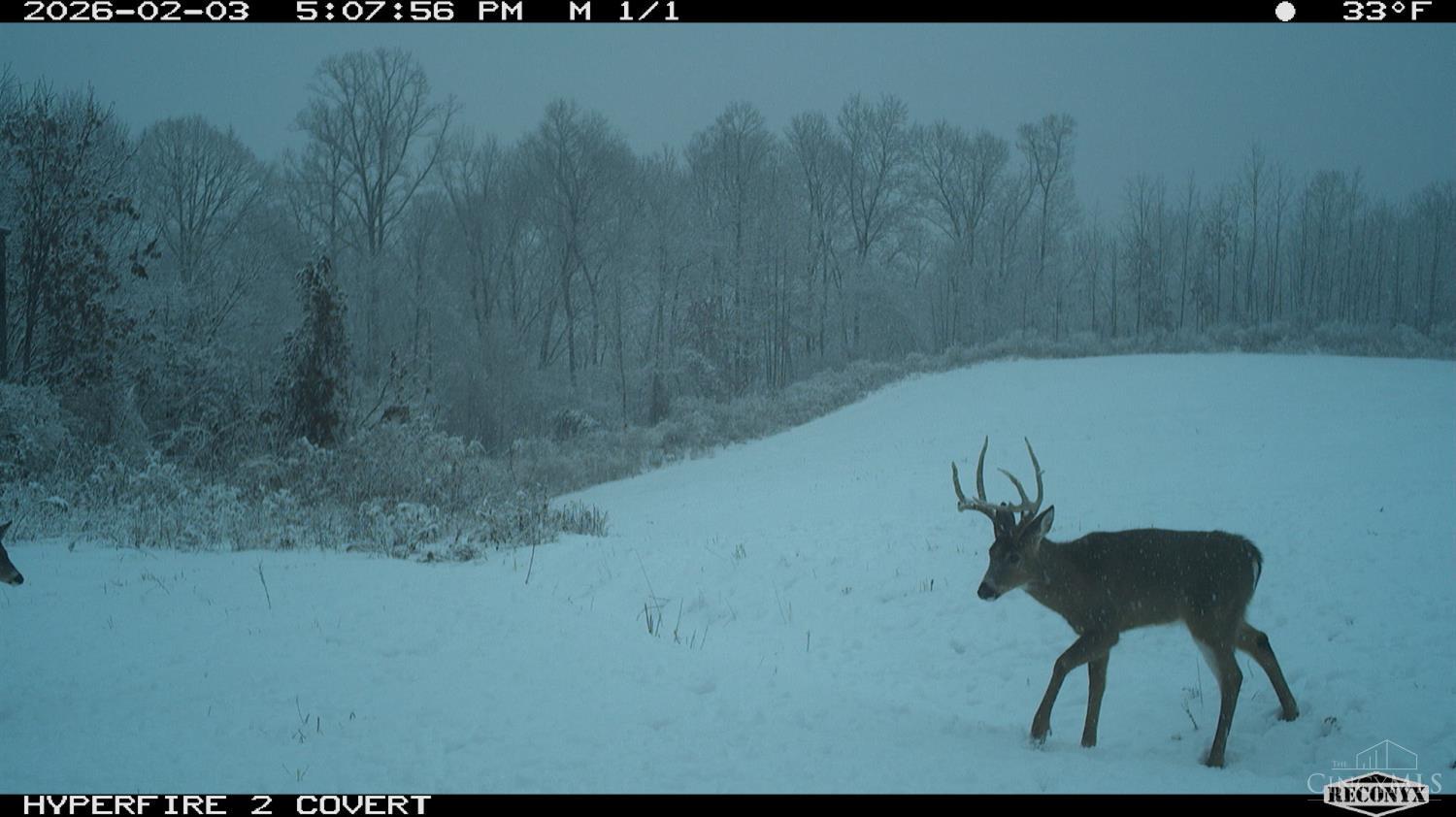 Lick Run Lyra Road, Bloom Twp, OH, 45682 — photo 92
