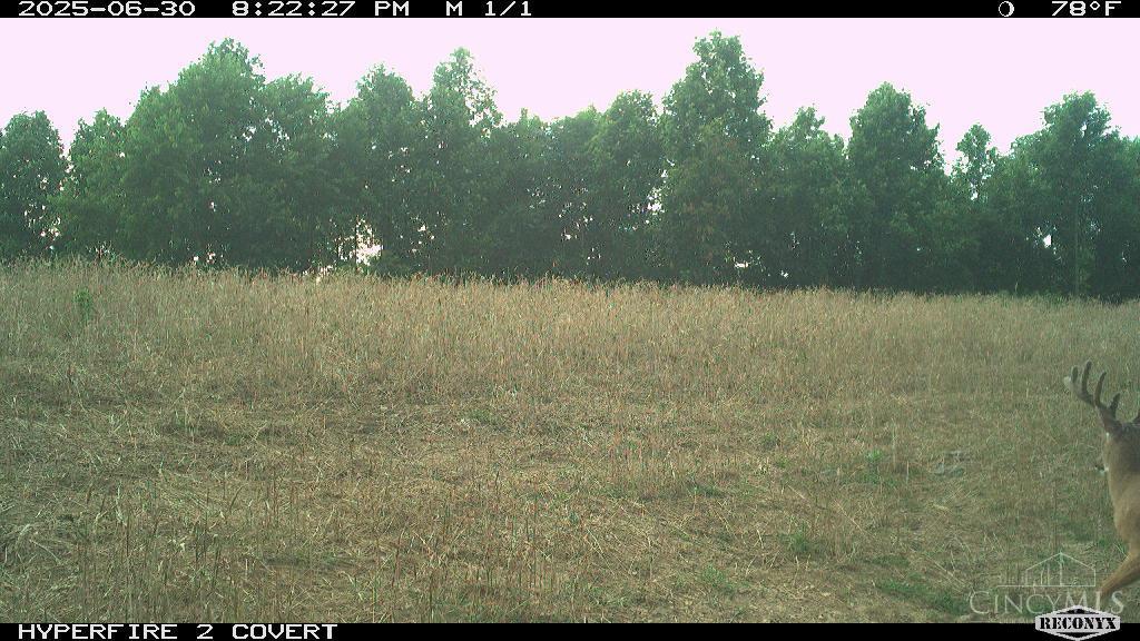Lick Run Lyra Road, Bloom Twp, OH, 45682 — photo 65