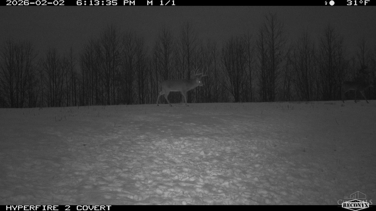 Lick Run Lyra Road, Bloom Twp, OH, 45682 — photo 90