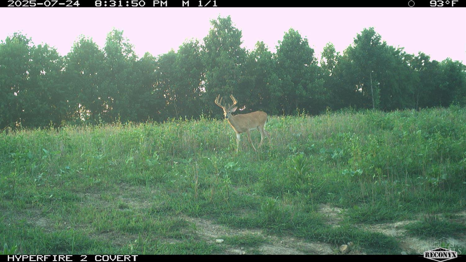 Lick Run Lyra Road, Bloom Twp, OH, 45682 — photo 69