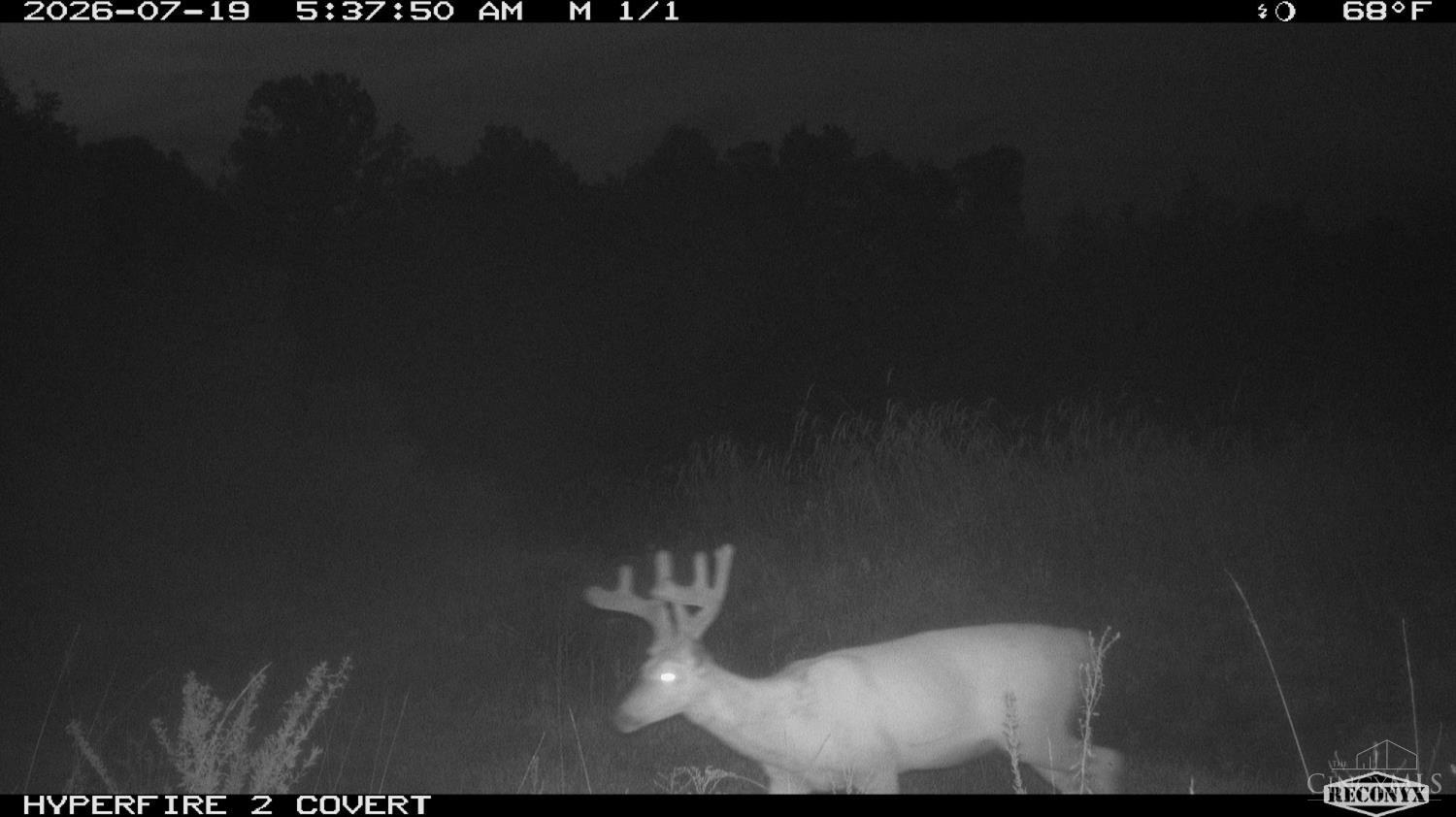 Lick Run Lyra Road, Bloom Twp, OH, 45682 — photo 94