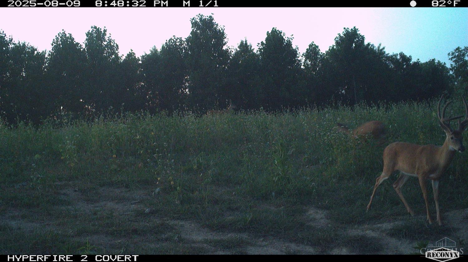 Lick Run Lyra Road, Bloom Twp, OH, 45682 — photo 80