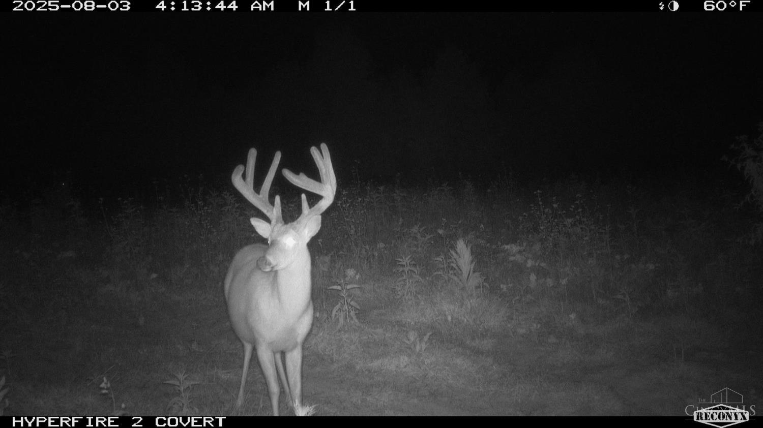 Lick Run Lyra Road, Bloom Twp, OH, 45682 — photo 73