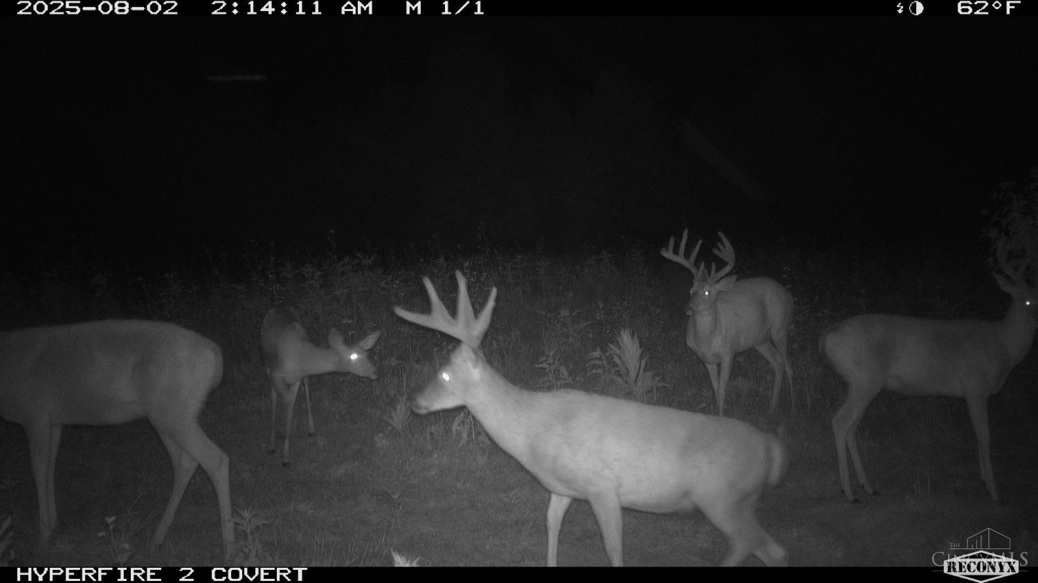 Lick Run Lyra Road, Bloom Twp, OH, 45682 — photo 72