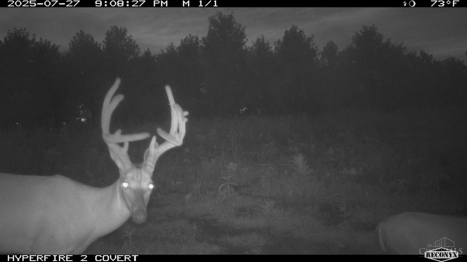 Lick Run Lyra Road, Bloom Twp, OH, 45682 — photo 71
