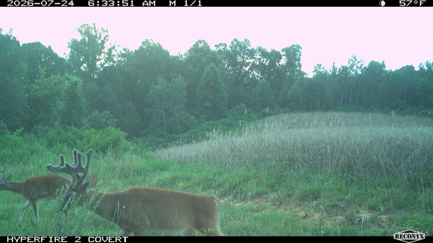 Lick Run Lyra Road, Bloom Twp, OH, 45682 — photo 95