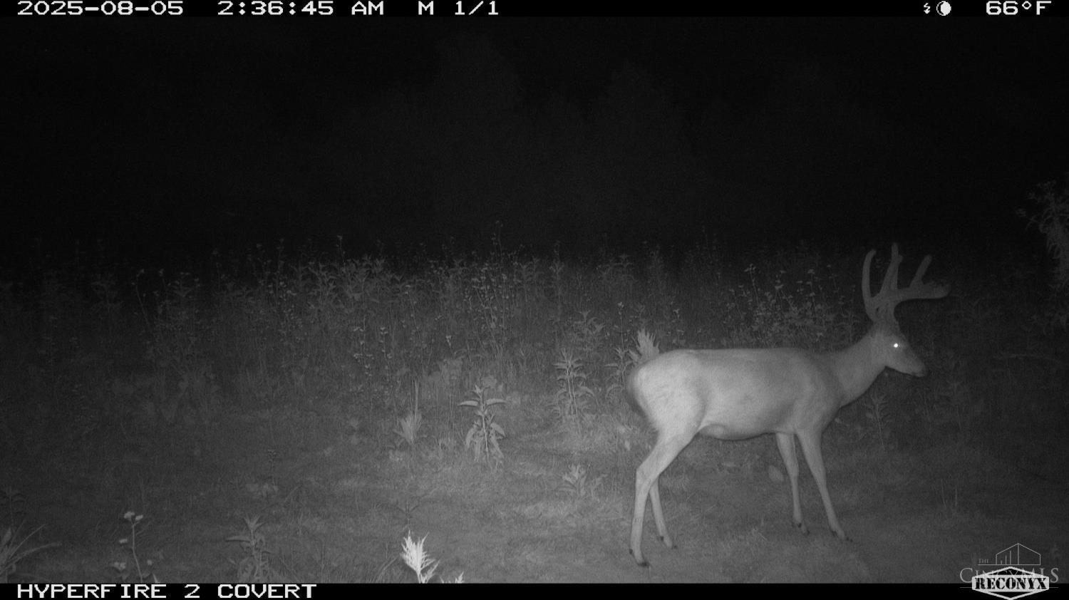 Lick Run Lyra Road, Bloom Twp, OH, 45682 — photo 75