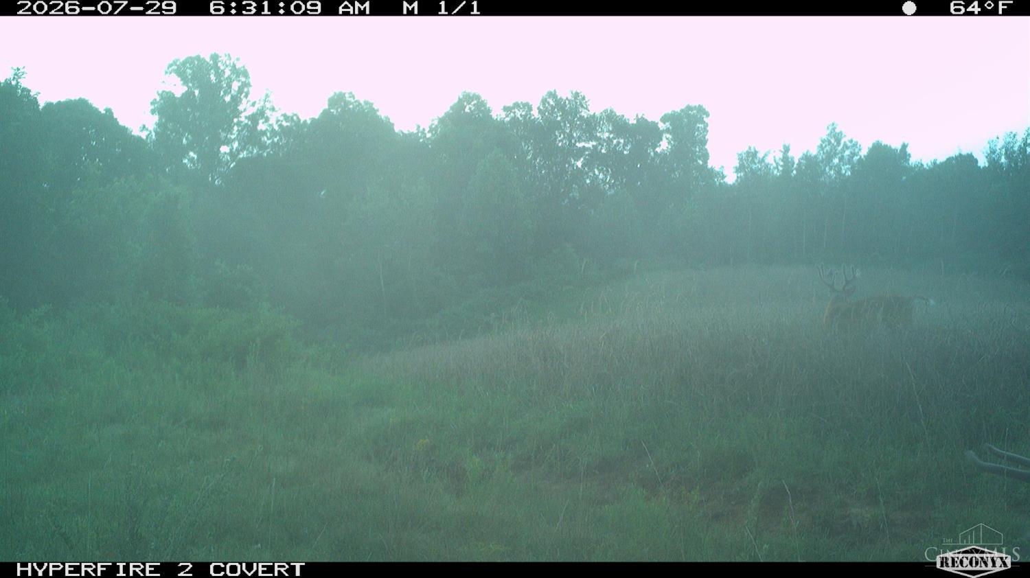 Lick Run Lyra Road, Bloom Twp, OH, 45682 — photo 98